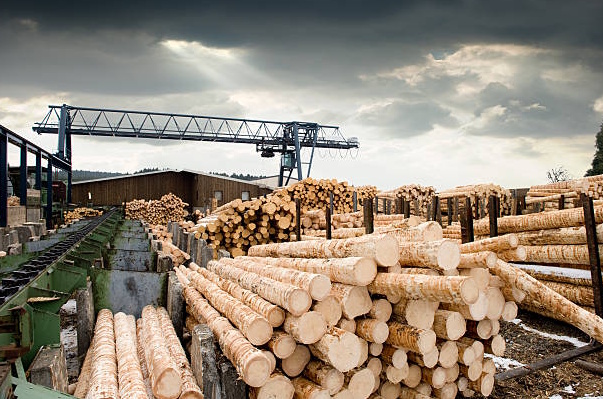 Betriebsnachfolge Bau: Nachfolger für erfolgreiches Unternehmen in der Massivholzproduktion mit Direktvertrieb und Onlineverkauf